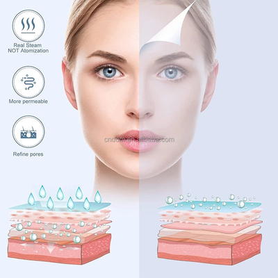 Warm-koude spuitstuk Estheticien Stoommachine Stroomvoorziening 110-240 VAC voor Home Beauty Salon Spa