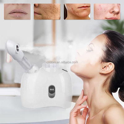 Warm-koude spuitstuk Estheticien Stoommachine Stroomvoorziening 110-240 VAC voor Home Beauty Salon Spa
