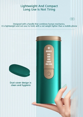 AC100-240V Input Voltage Home Ipl Haarverwijderingstechnologie OEM Logo Handheld Device