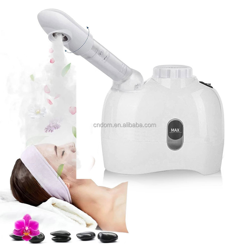 Warm-koude spuitstuk Estheticien Stoommachine Stroomvoorziening 110-240 VAC voor Home Beauty Salon Spa